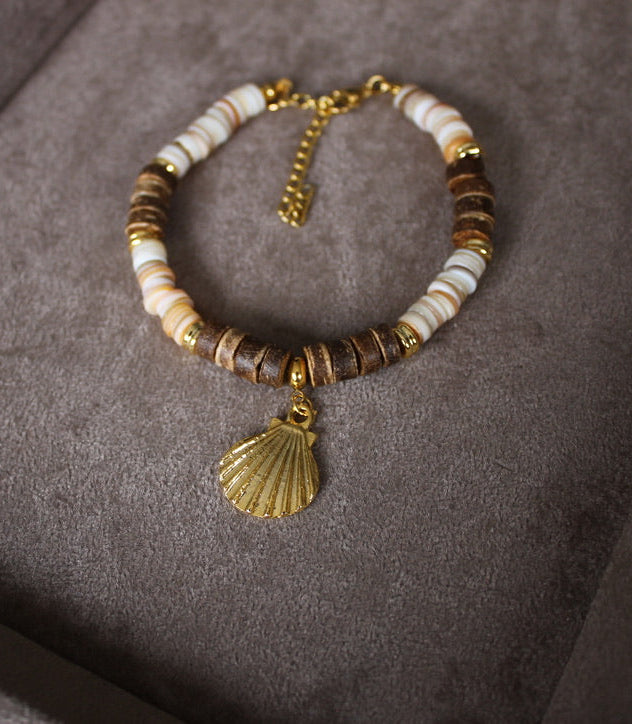 Sea Shell