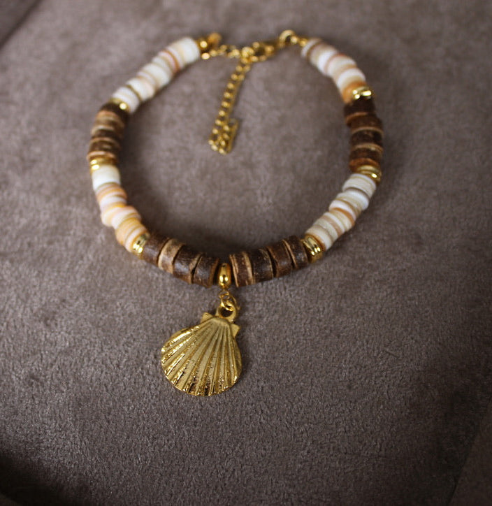 Sea Shell