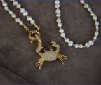 Shiny Crab