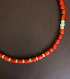 Coral No:01